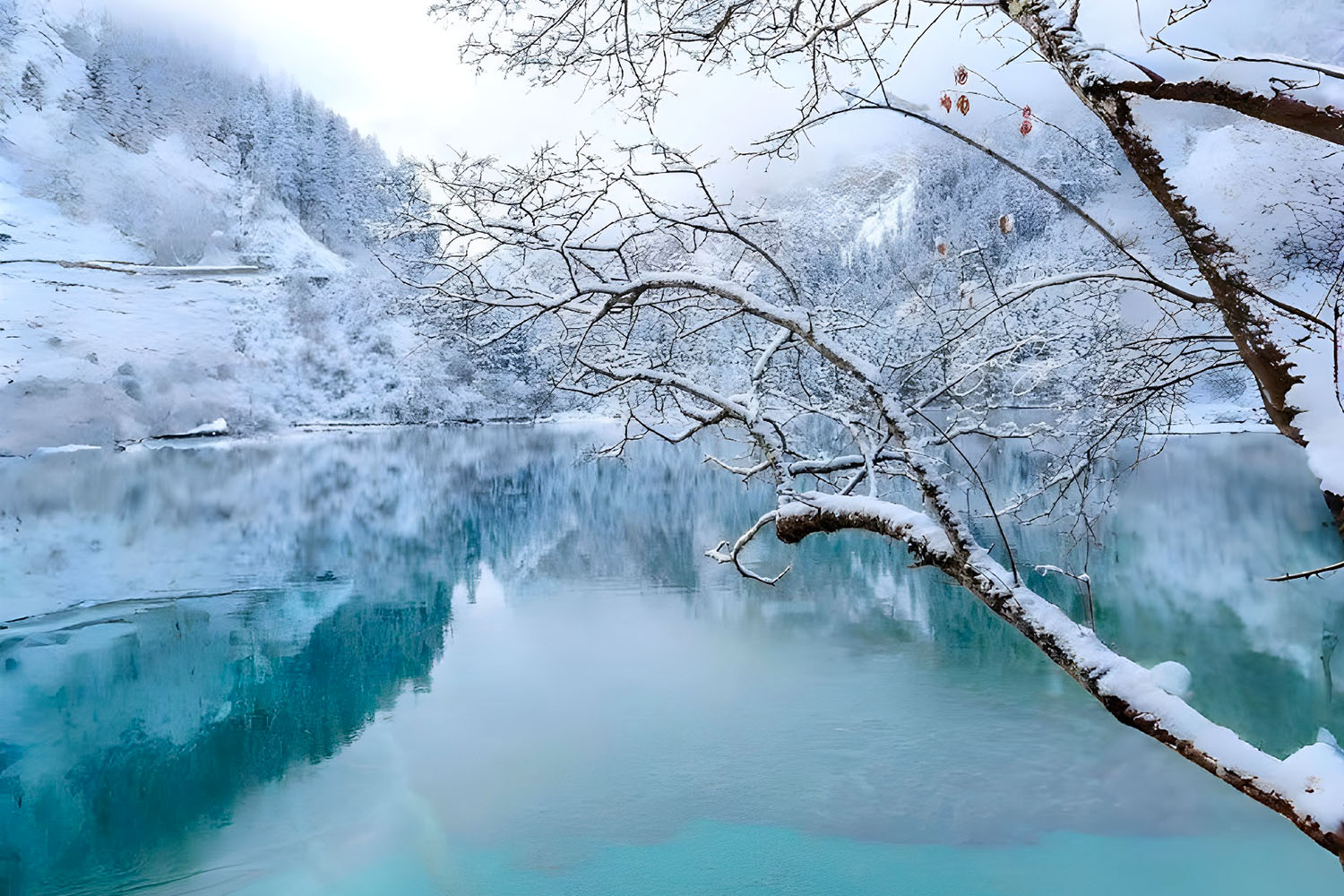 thanh-do-cuu-trai-cau-lac-son