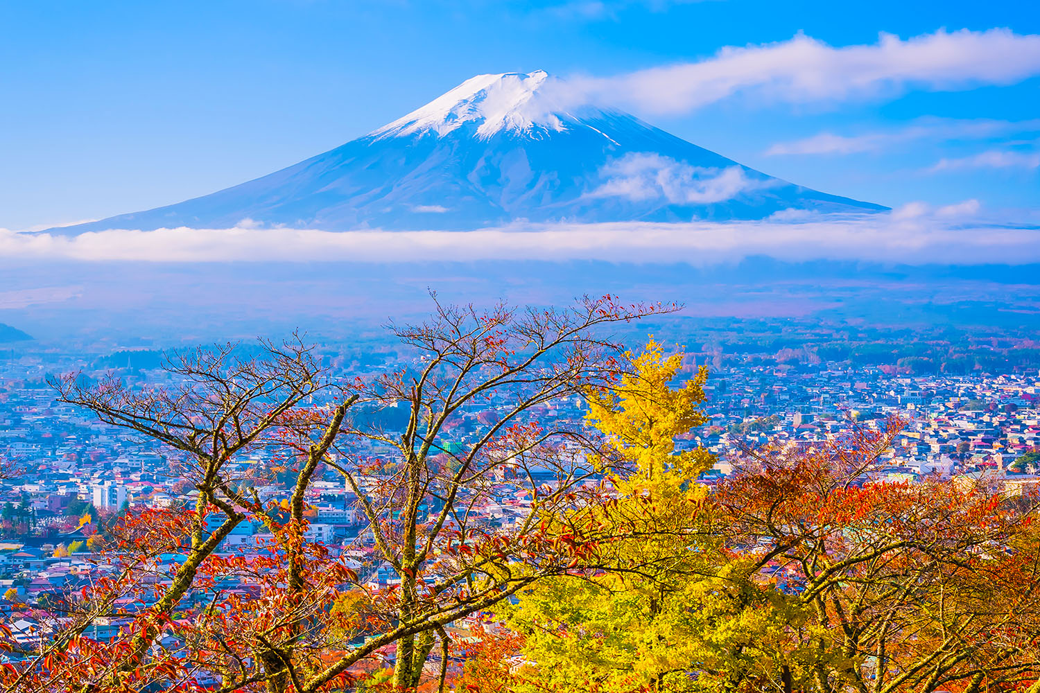 osaka-nara-kyoto-nagoya-yamanashi-tokyo