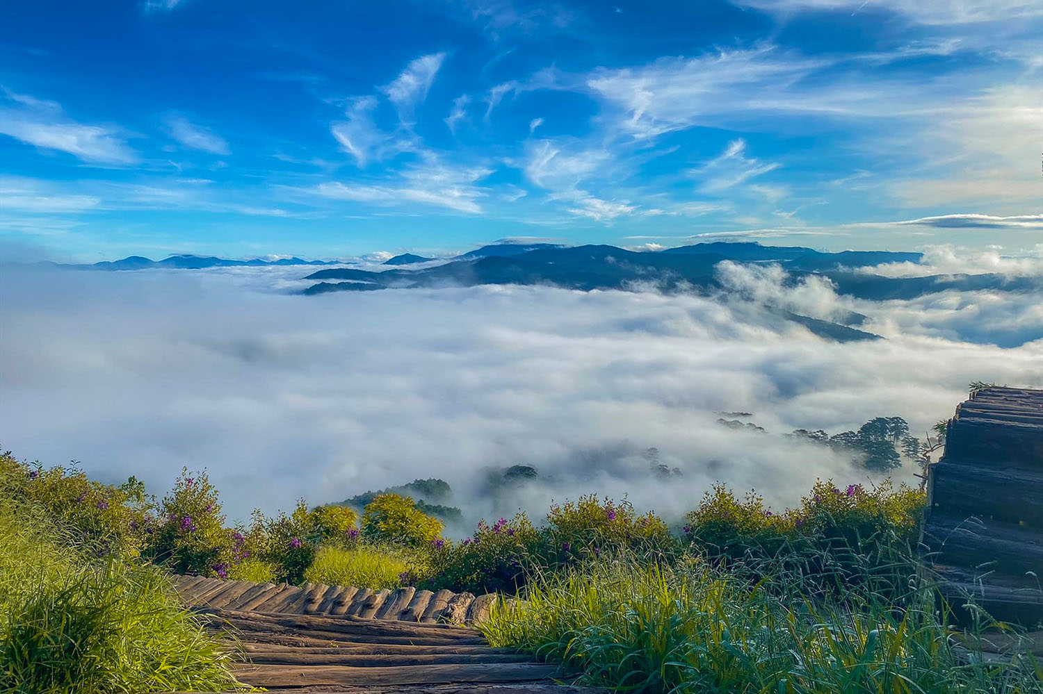 da-lat-thien-duong-san-may-210825