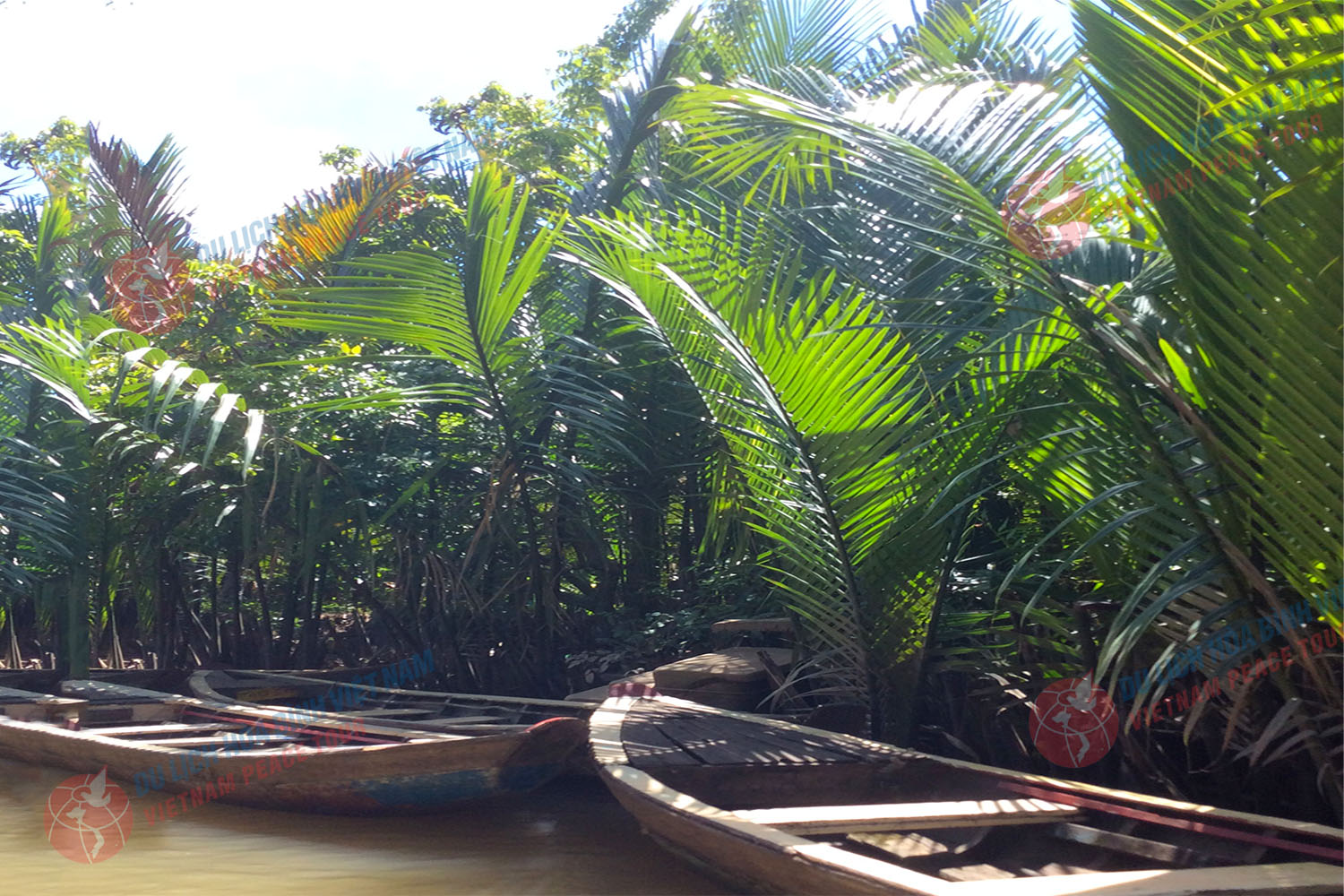 my-tho-ben-tre-chau-doc-can-tho-soc-trang-bac-lieu-ca-mau-1-271025