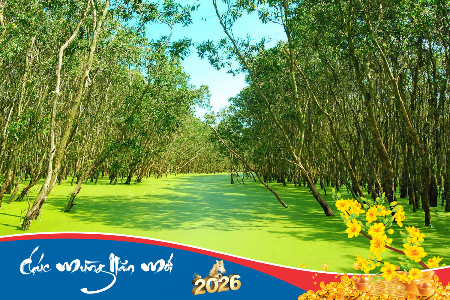 rung-tram-tra-su-mieu-ba-chua-xu-du-thuyen-song-hau-cho-noi-cai-rang-180226